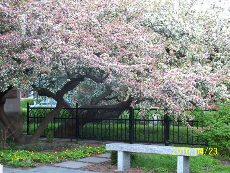 100_0394 [800x600].JPG